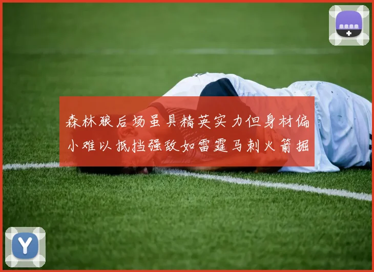 森林狼后场虽具精英实力但身材偏小难以抵挡强敌如雷霆马刺火箭掘金